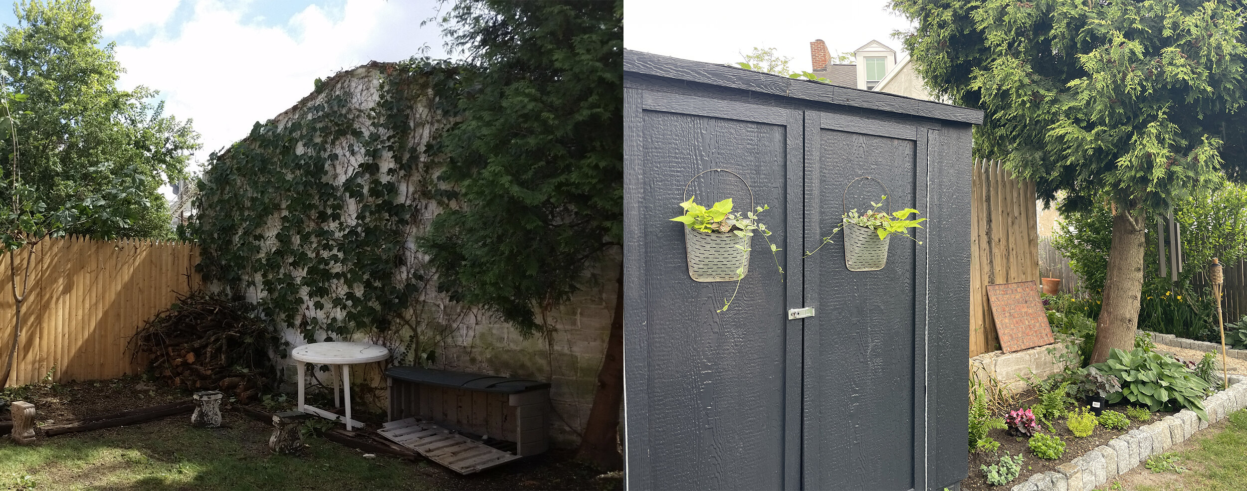 BEFORE: Old garage, piles of sticks, no garden, and a bunch a junk left from the people who lived here before us. AFTER: Cutey shed and new garden! Same tree on the right hand side of each image)