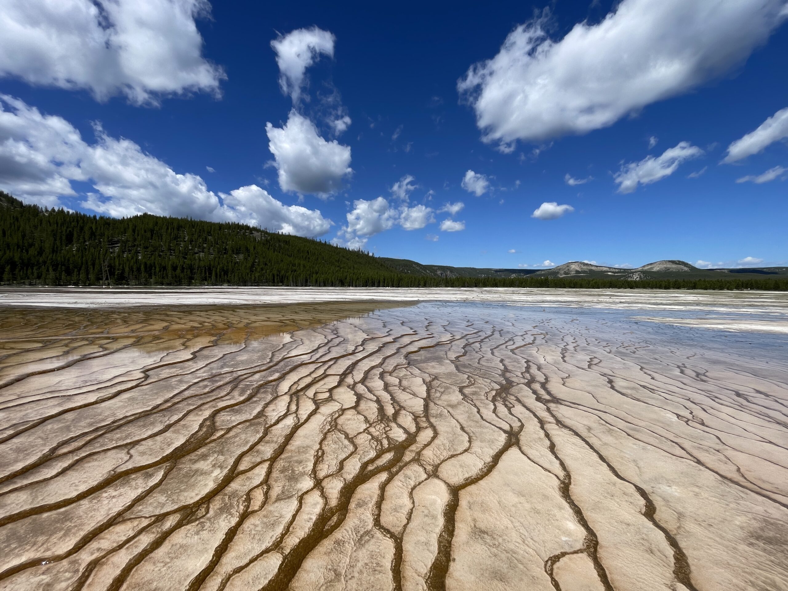 Yellowstone National Park - Norris Geyser